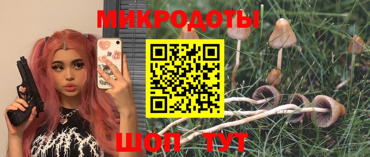 Галлюциногенные грибы GOLDEN TEACHER  закладки  Энгельс  Псилоцибиновые грибы мухоморы  Вход с VPN 